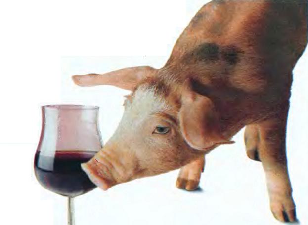 Свинья с алкогольное вино