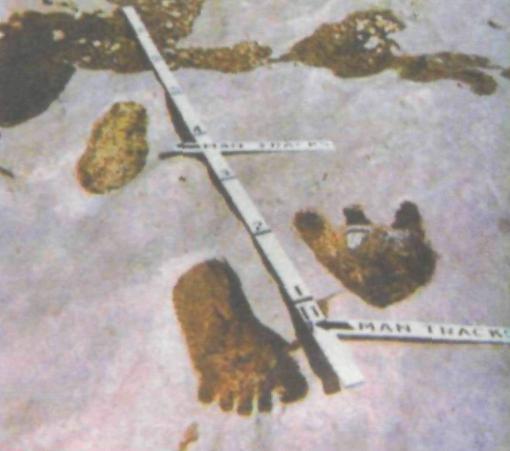 Отпечаток ноги великана рядом с динозавром