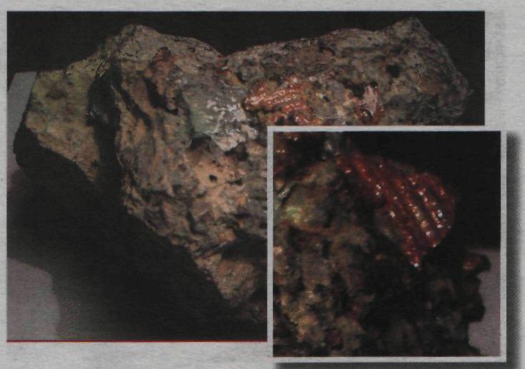 Метеорит с неизвестными символами